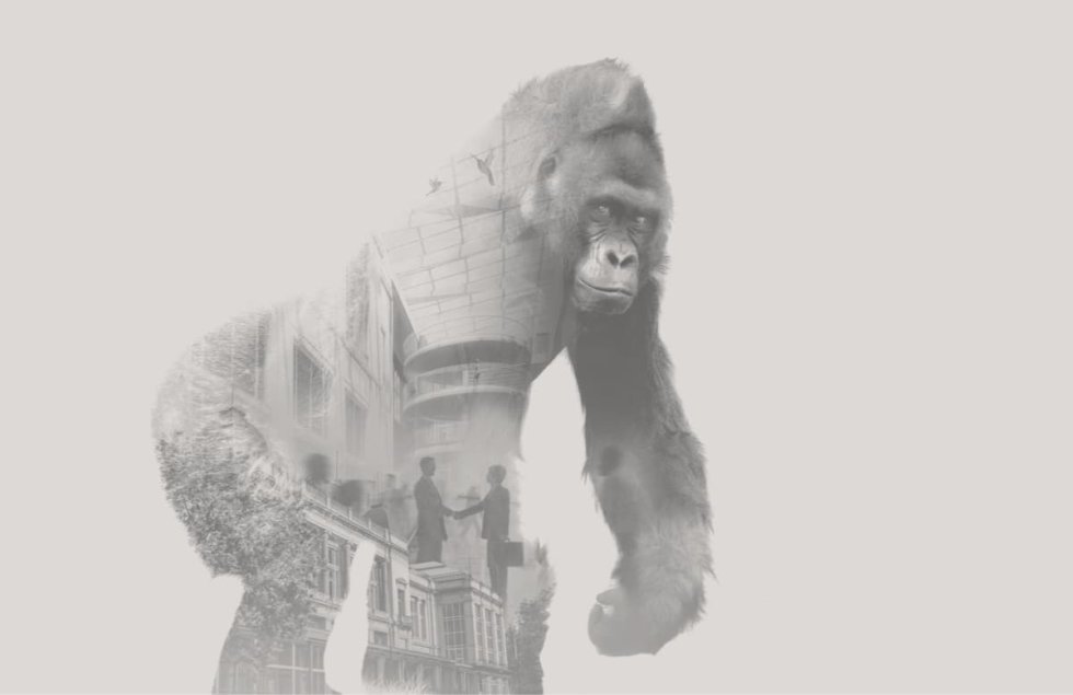 Wetenschappelijk onderzoek zit in het DNA van de ZOO. Niet alleen in ZOO Antwerpen wordt wetenschappelijk onderzoek uitgevoerd en toegepast, maar ook in de buitenlandse onderzoekscentra, in het labo van de ZOO, in universiteiten onder ons toezicht en vooral in het zoölogische onderzoekscentrum CRC (Centre for Research and Convservation). Sinds de officiële opening in 2000 groeide dit onderzoekscentrum uit tot één van de meest geavanceerde zoölogische onderzoekscentra wereldwijd.